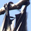 image18