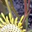 image03