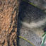 image37