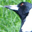 image05