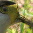 image06