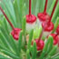 image08