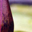 image06