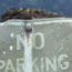 image01