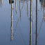 image04