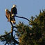 image09