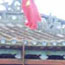 image15