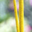 image20