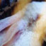 image05
