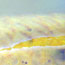 image17