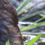 image07