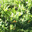 image01