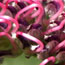 image03