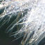 image05