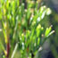 image06