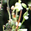 image07
