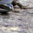 image08