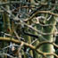 image02