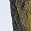 image21