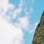 image22
