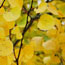 image03