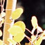 image05
