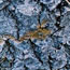 image07