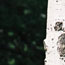 image08